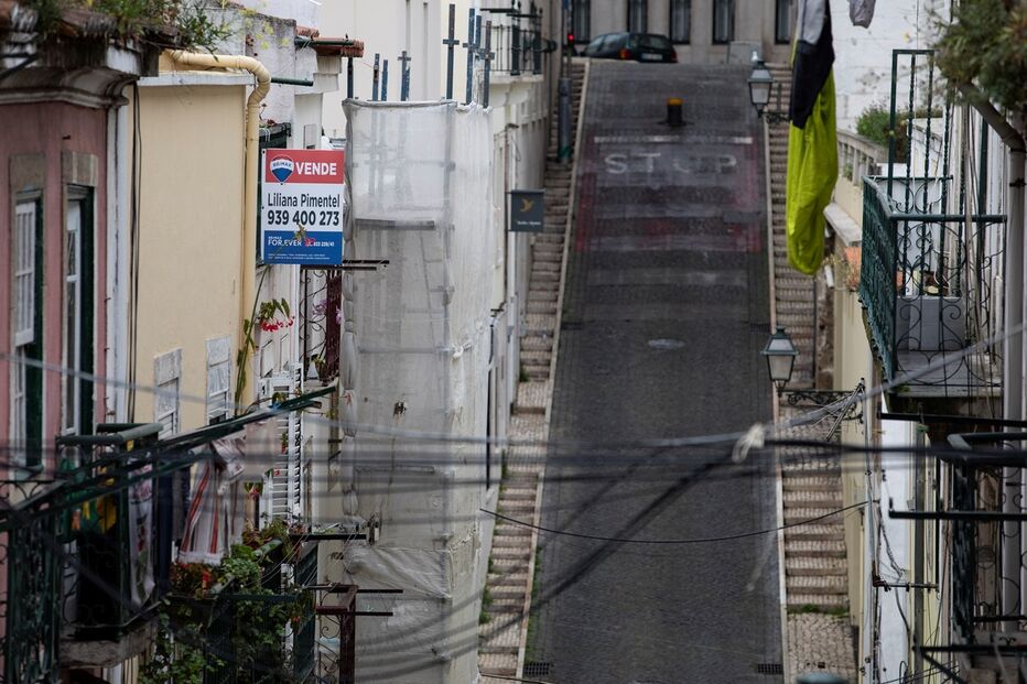 Imagem _JCG4415.JPG (8430433) (Milenium)