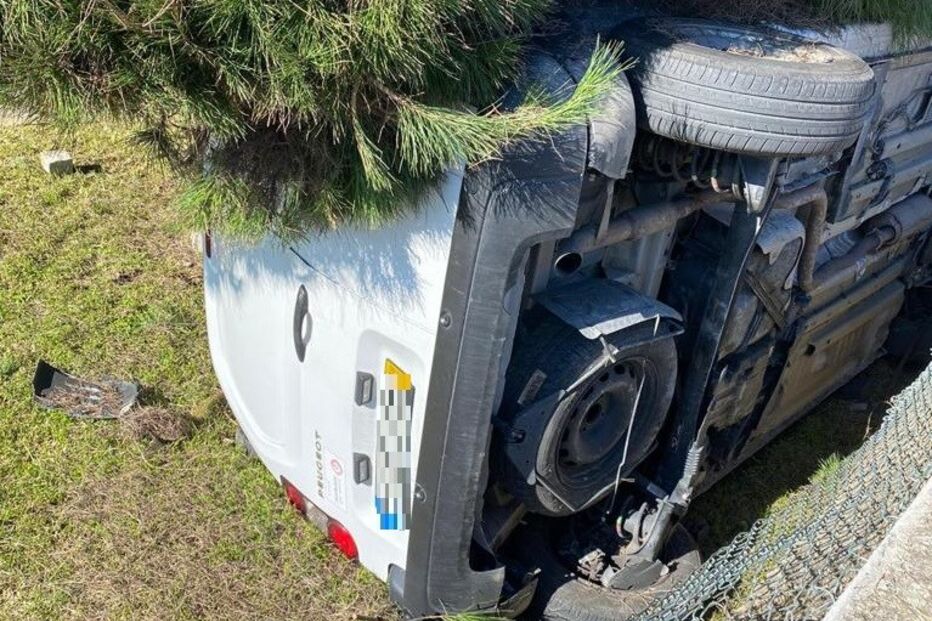 Carrinha caiu para jardim