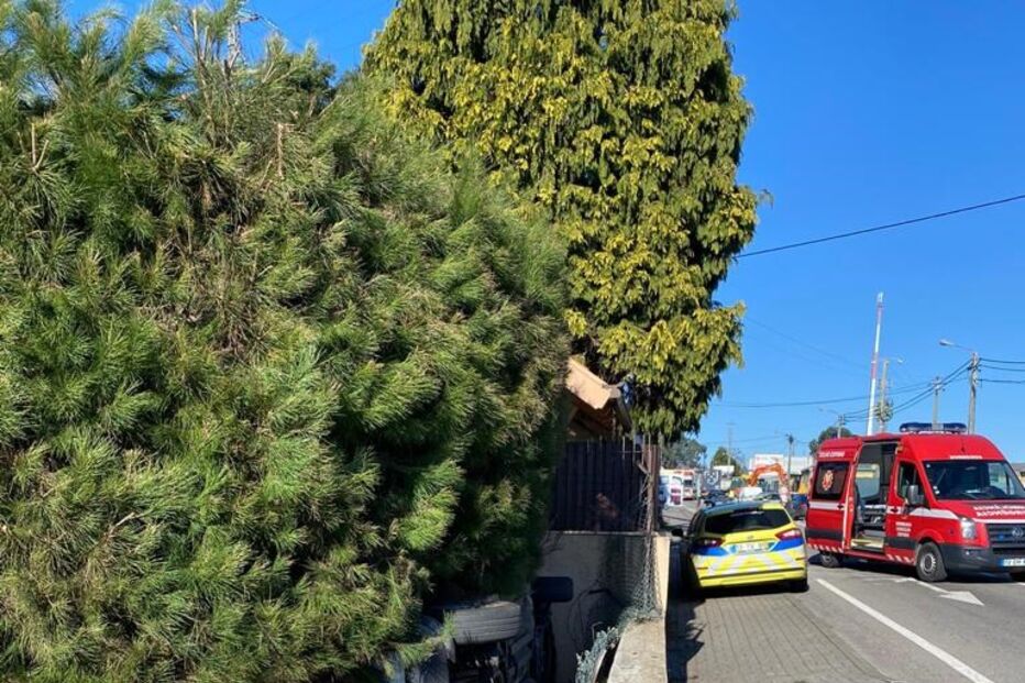 Carrinha caiu para jardim