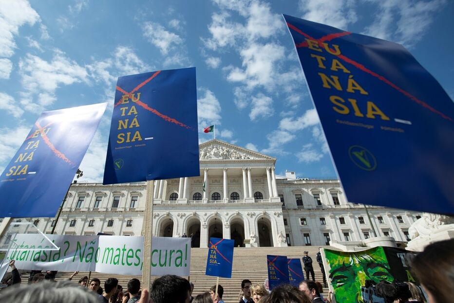 Imagem _BCO5894.JPG (8444665) (Milenium)