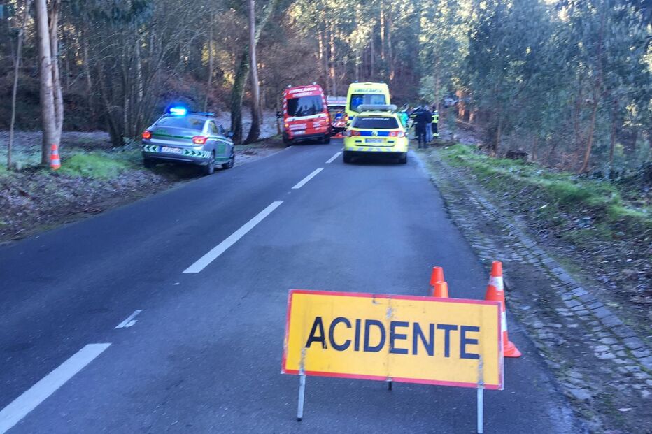 Despiste em Mire de Tibães