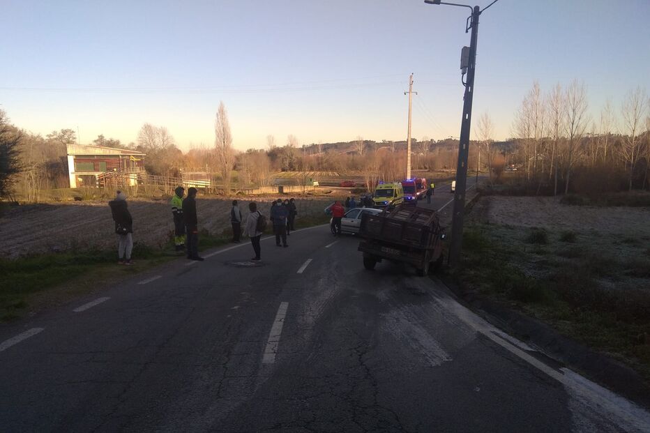 Despistes em Albergaria-a-Velha