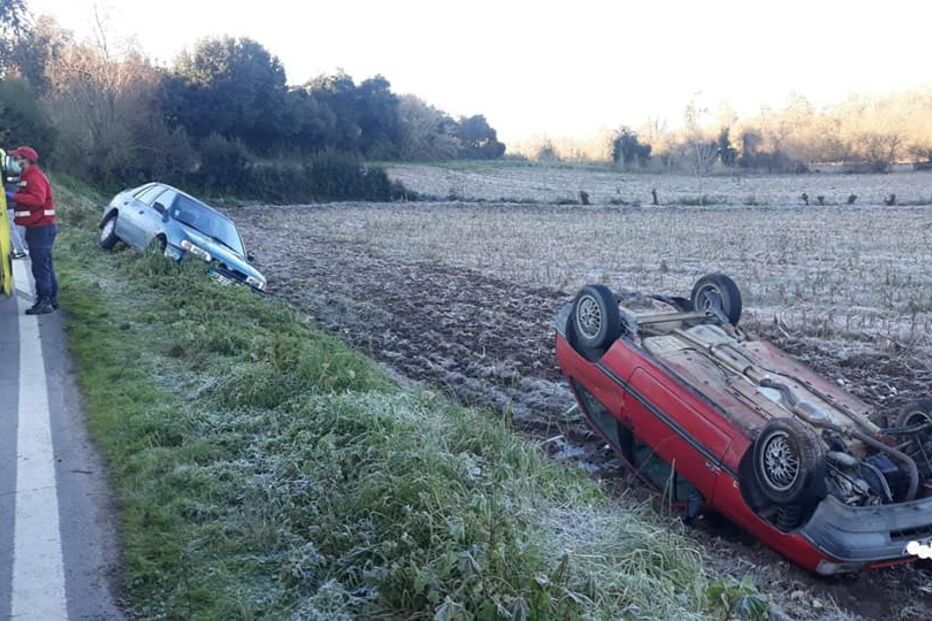 Despistes em Albergaria-a-Velha