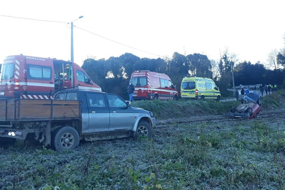 Despistes em Albergaria-a-Velha