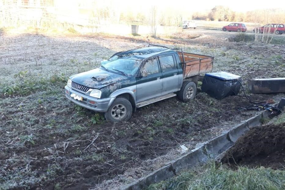 Despistes em Albergaria-a-Velha