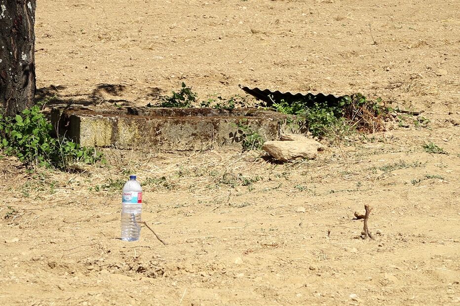 Imagem TANIAMENDES-FRAME-2020-07-07-20H21M22S371.JPG (8488654) (Milenium)