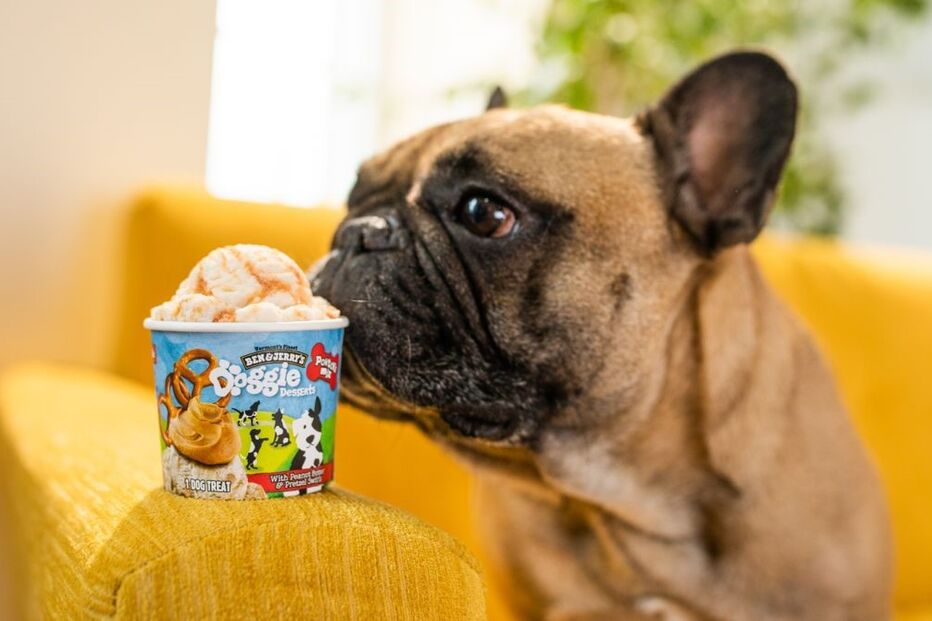 Ben & Jerry’s lança gelado só para cães