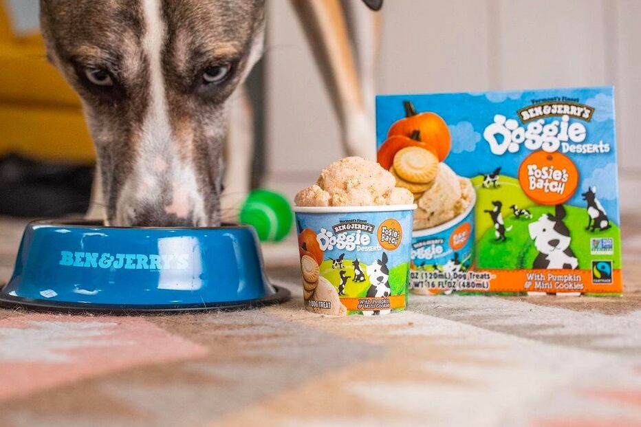 Ben & Jerry’s lança gelado só para cães