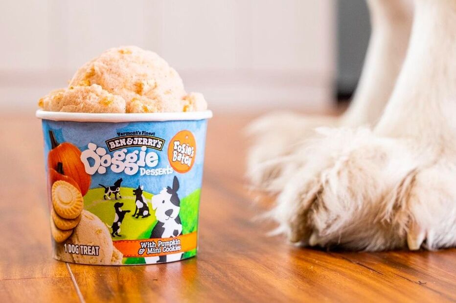Ben & Jerry’s lança gelado só para cães