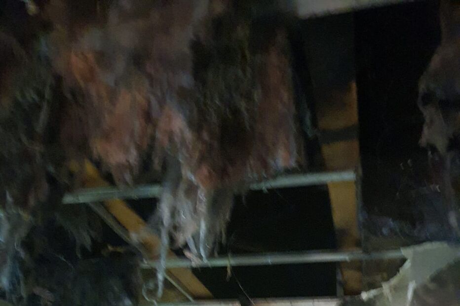 Três pessoas desalojadas após incêndio em recuperador de calor em Vidago