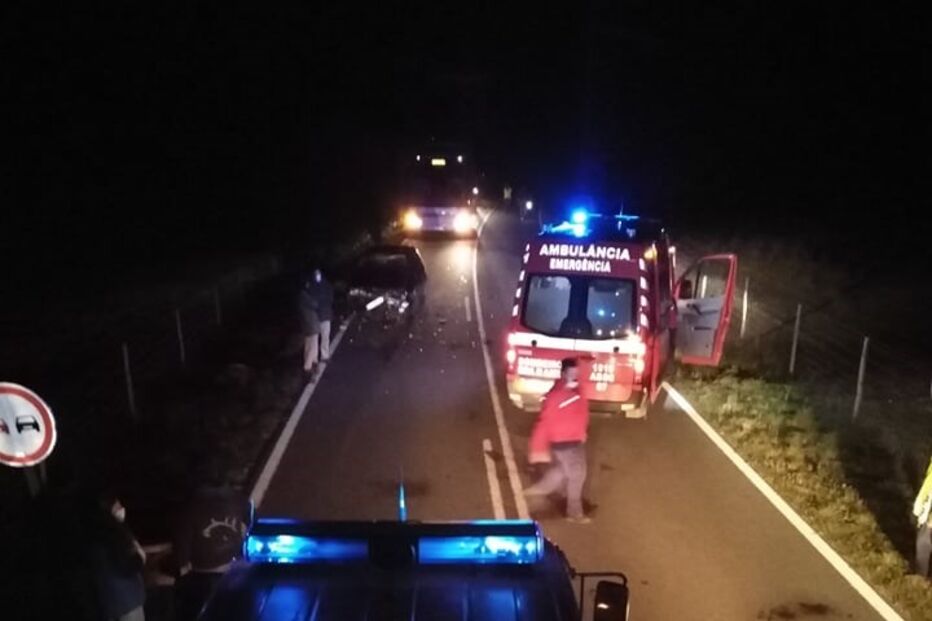 Cinco vacas morrem após colisão com carro em Cercal do Alentejo