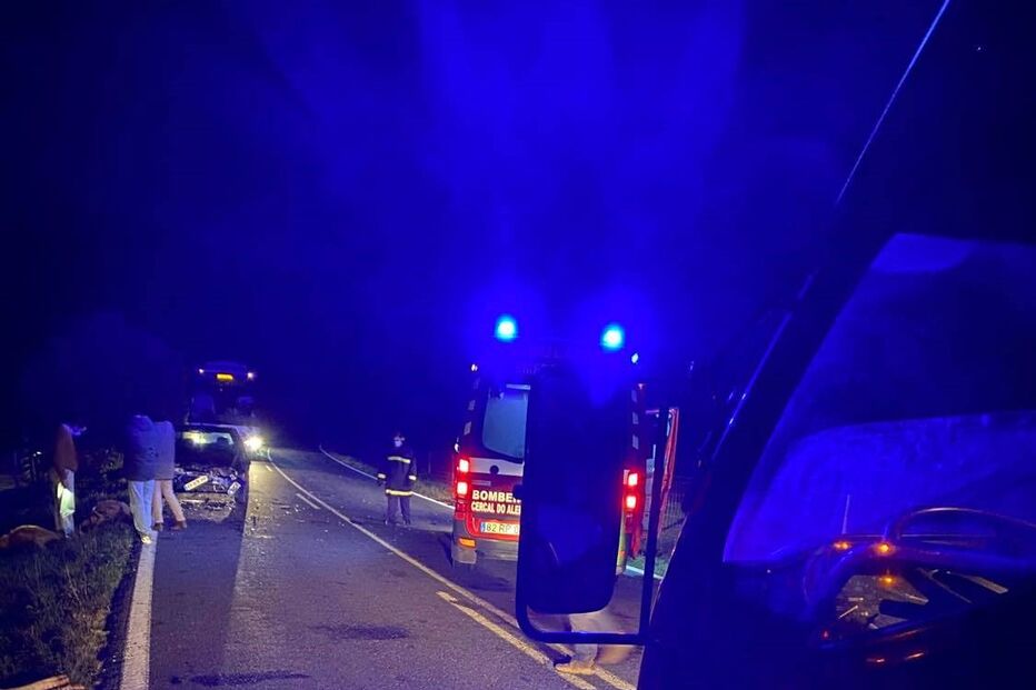 Cinco vacas morrem após colisão com carro em Cercal do Alentejo
