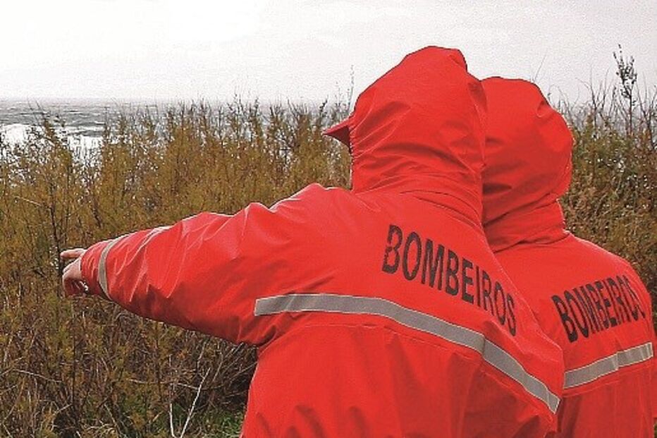 Bombeiros fizeram buscas
