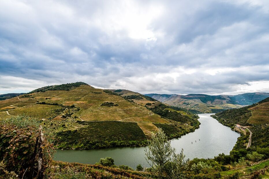 Douro vinhateiro é património da UNESCO