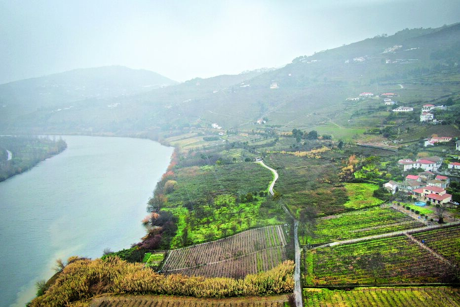 Local onde está prevista a construção de um grande hotel, junto ao rio Douro, em Rede, Mesão Frio