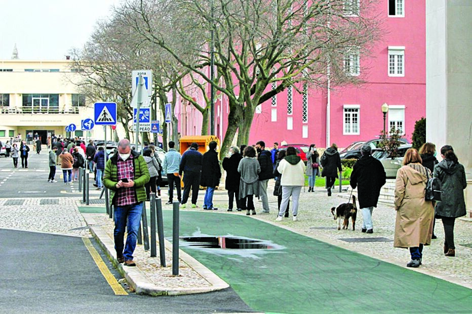 Habitante da capital aproveitou a deslocação à mesa de voto para passear o animal de estimação