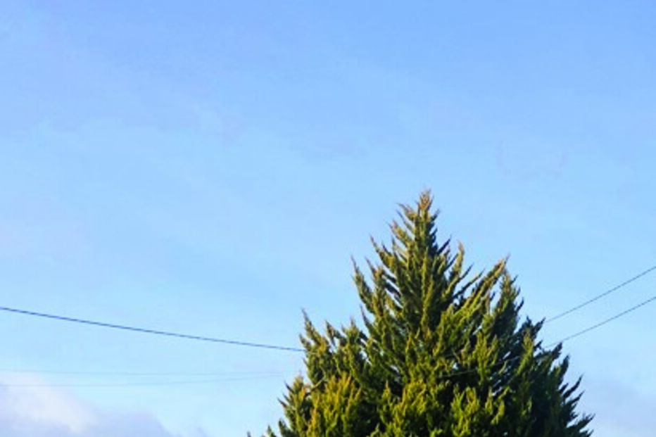 Dezenas de pessoas recusaram ontem votar em Morgade, no concelho de Montalegre, como forma de protesto contra o projeto de prospeção de lítio