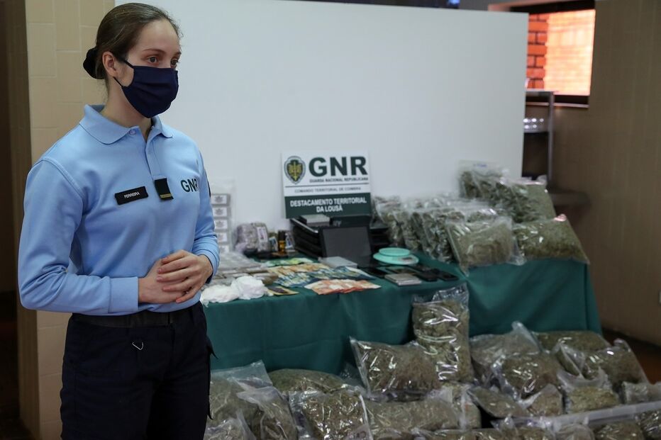 Imagem 30522802.JPG (8682375) (Milenium)