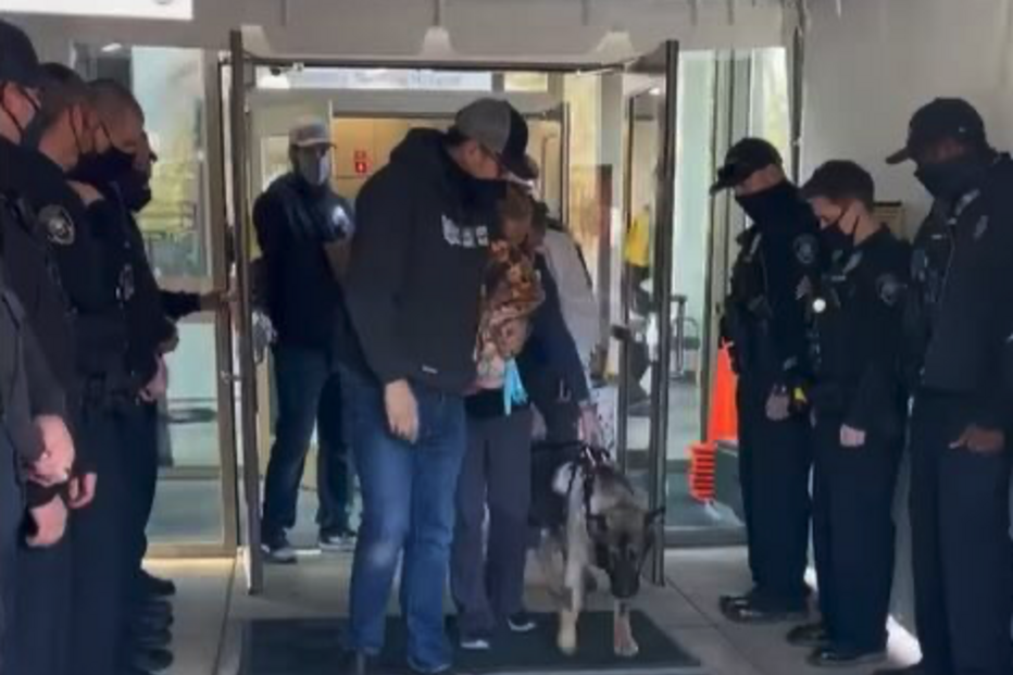 Cão polícia atingido a tiro tem alta e é recebido como um verdadeiro herói