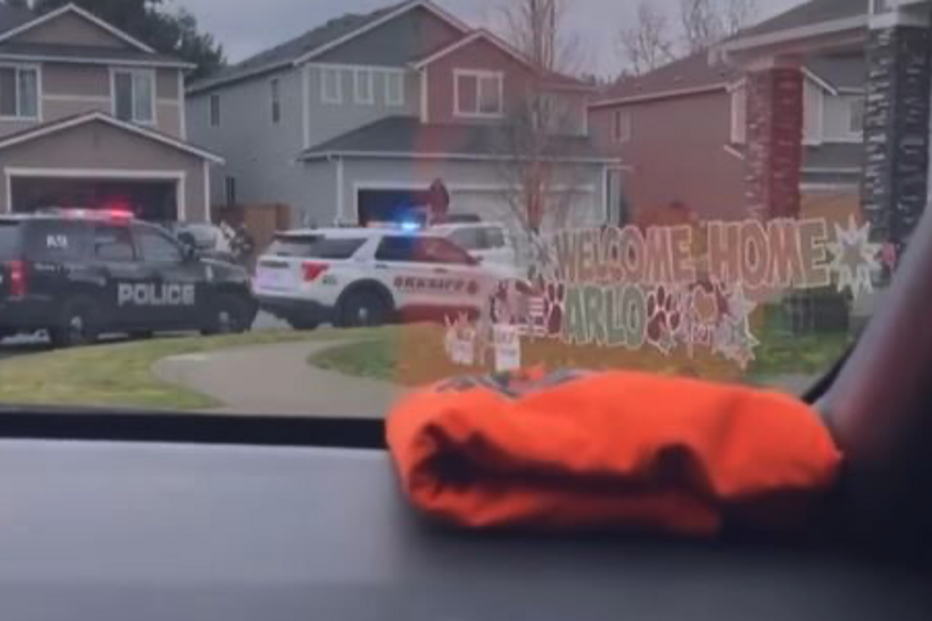 Cão polícia atingido a tiro tem alta e é recebido como um verdadeiro herói