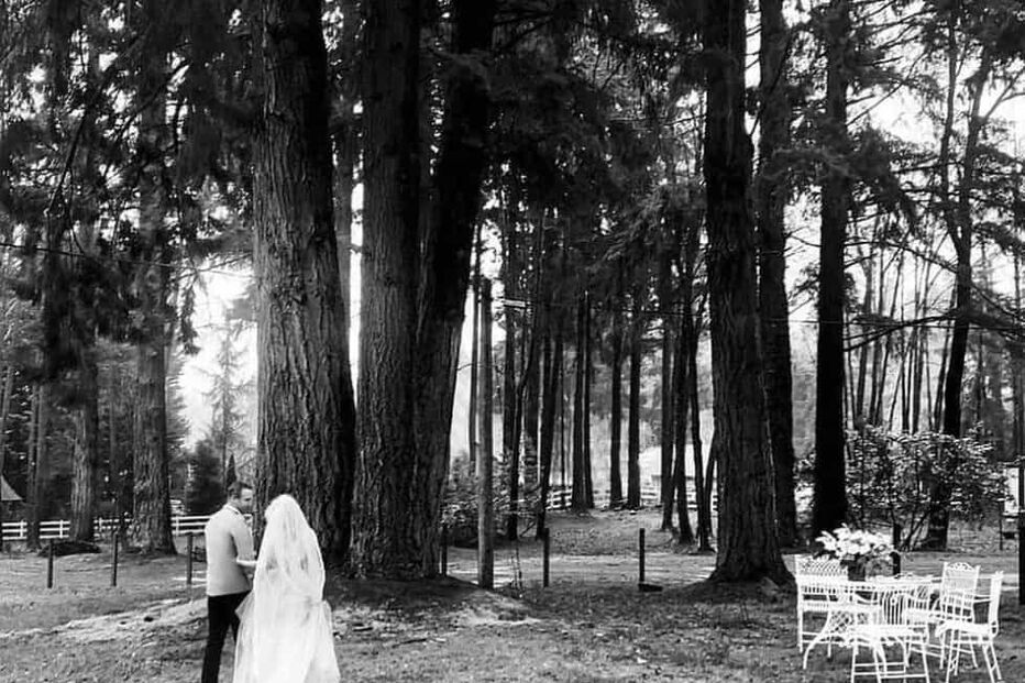 Pamela Anderson e Dan Hayhurst