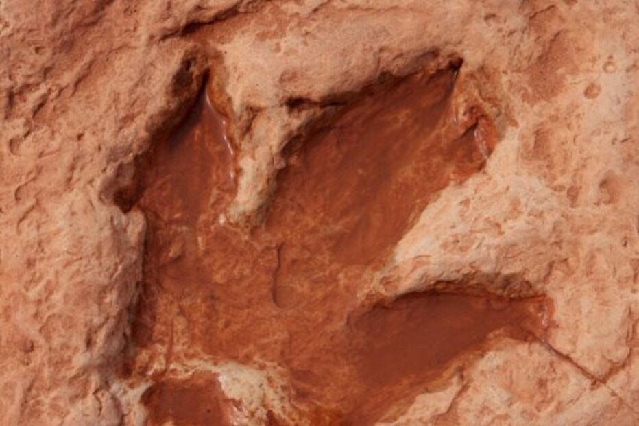 Pegada de dinossauro