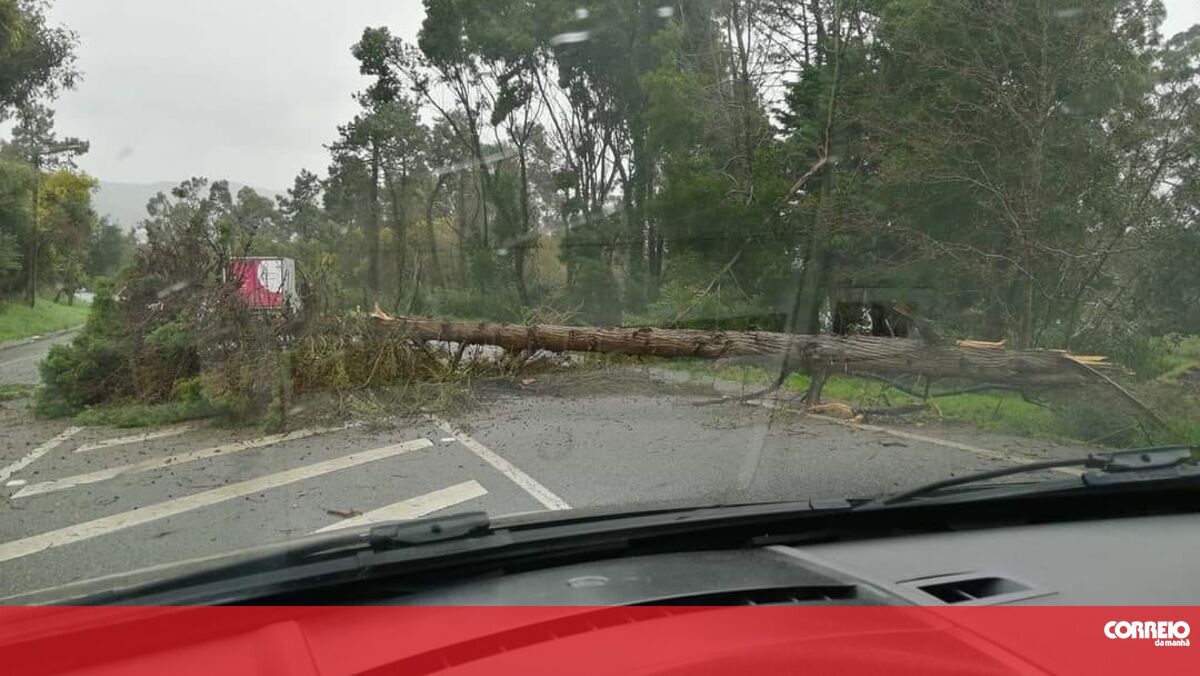 Clio do Aço'': Renault que desceu escadaria da Universidade de