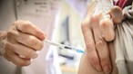 Vacinação da Covid-19 arranca em Oeiras com 102 administradas mas sem previsão de chegada de mais doses