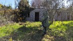 PSP destrói granada encontrada em quinta de Viseu 