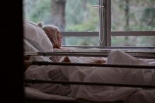 Seminário do Bom Pastor que funciona como espaço de retaguarda covid-19 no distrito do Porto