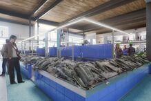 2021-02-18_15_48_56 Pág. 2 - Foto 2.jpg