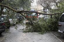 Proteção Civil regista 166 ocorrências e alerta para 