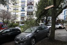 Proteção Civil regista 166 ocorrências e alerta para 