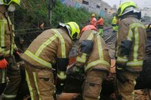 Queda de árvore em Cascais