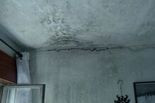 Imagem FOTO TETO CASA.JPG (8982036) (Milenium)