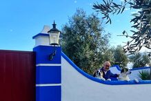 O companheiro de Manuel Luís Goucha com os cães do casal