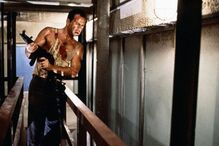 /fotospublicadas/Fotos/2-9308567 (9031274) (Milenium)