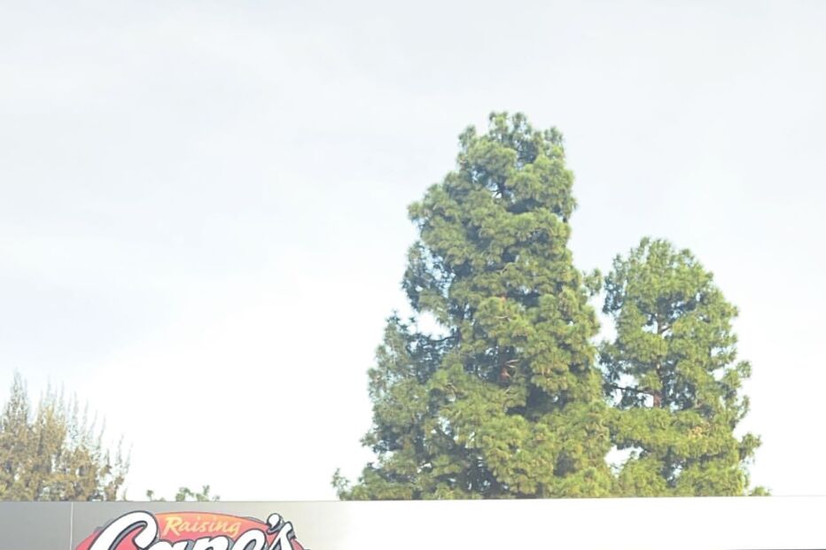 A festa de Stormi, filha de Kylie Jenner