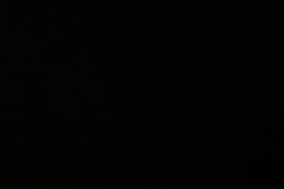 2021-02-02_17_03_42 145644400_157514212674664_6084828874586596679_n (1).jpg