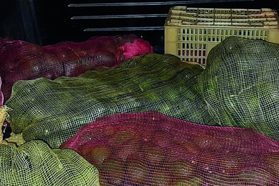 Apreendidos 170 quilos de abacate