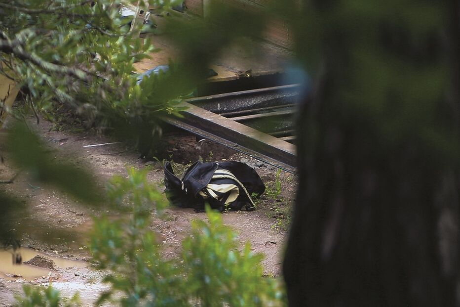 Imagem 37940686.jpg (8836370) (Milenium)