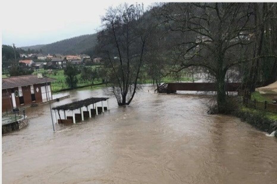 2021-02-09_12_31_12 01CF0756.jpg