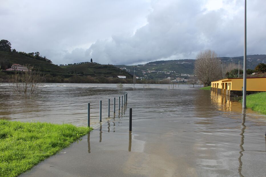 Imagem A2-37959776 (8850162).jpg (Milenium)