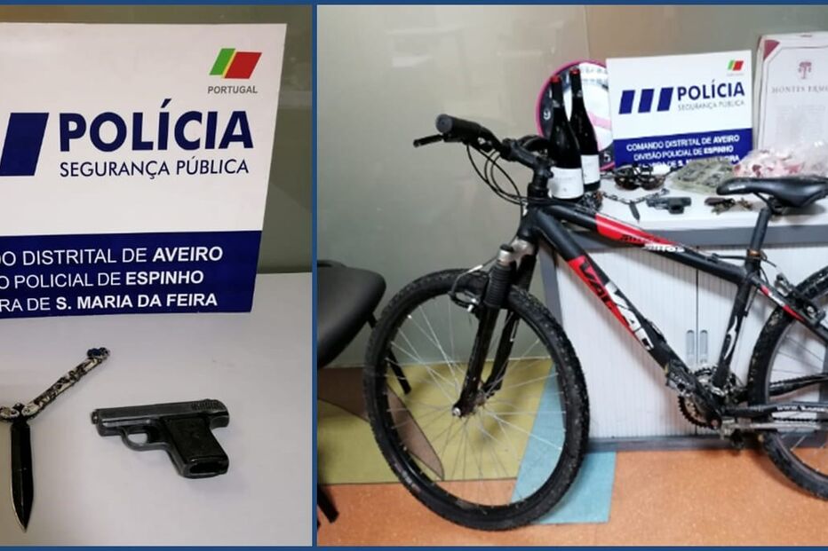 PSP detém três pessoas por assaltarem viaturas e garagens em Santa Maria da Feira 