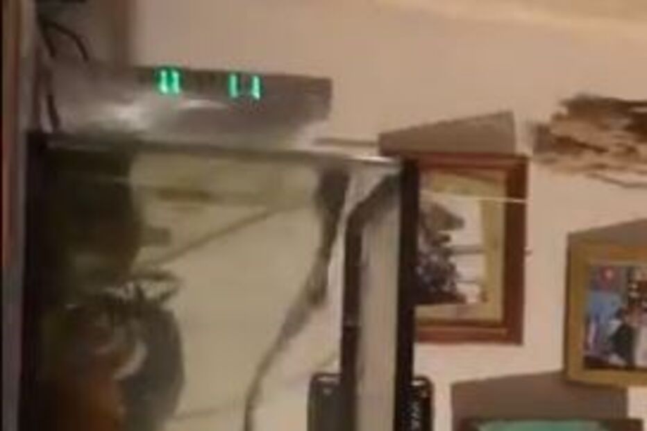 Internautas captaram o momento do abalo sísmico