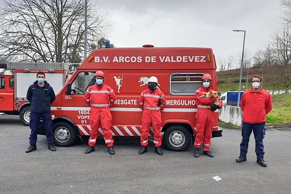 Bombeiros de Arcos de Valdevez salvam cão em central de recolha do lixo
