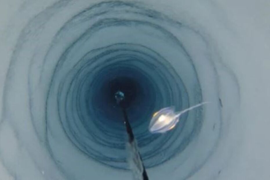 Expedição descobre acidentalmente 