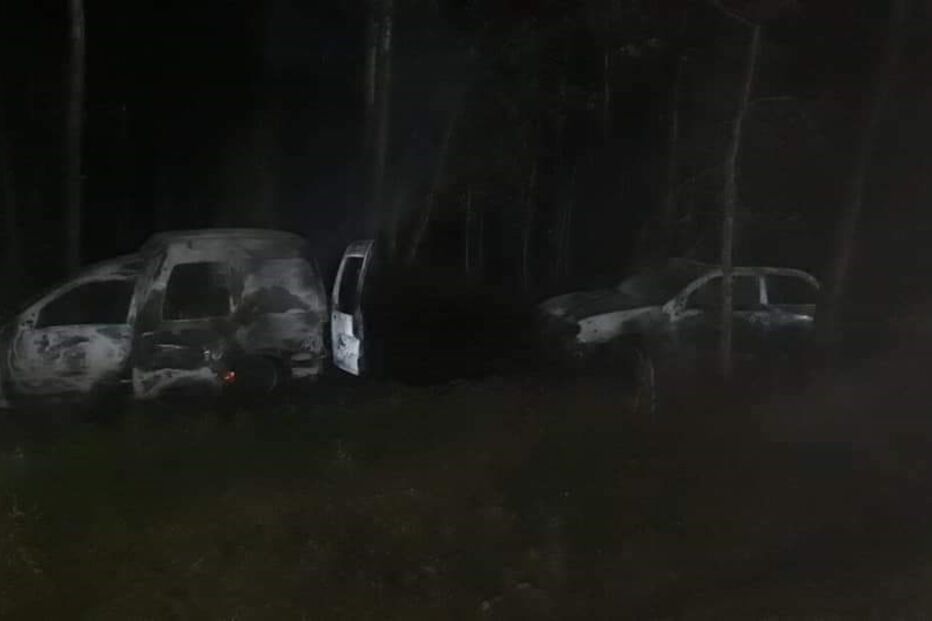 Dois carros destruídos pelas chamas em Albergaria-a-Velha