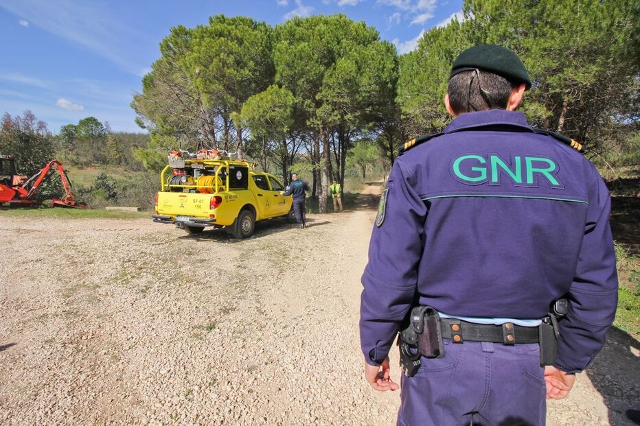 Imagem IMG_9735.JPG (8918784) (Milenium)