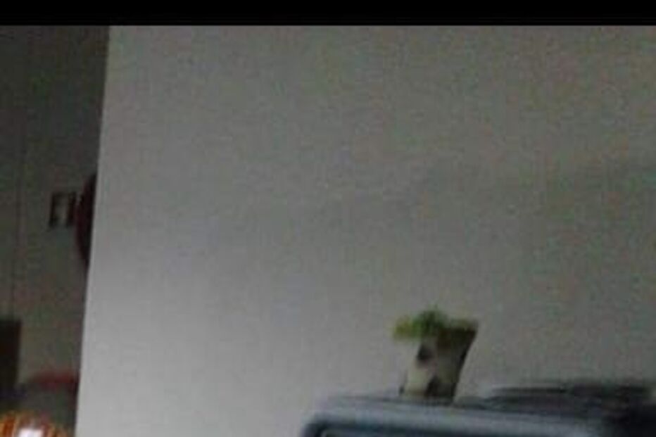 Imagem IMG_6548.JPG (8933246) (Milenium)